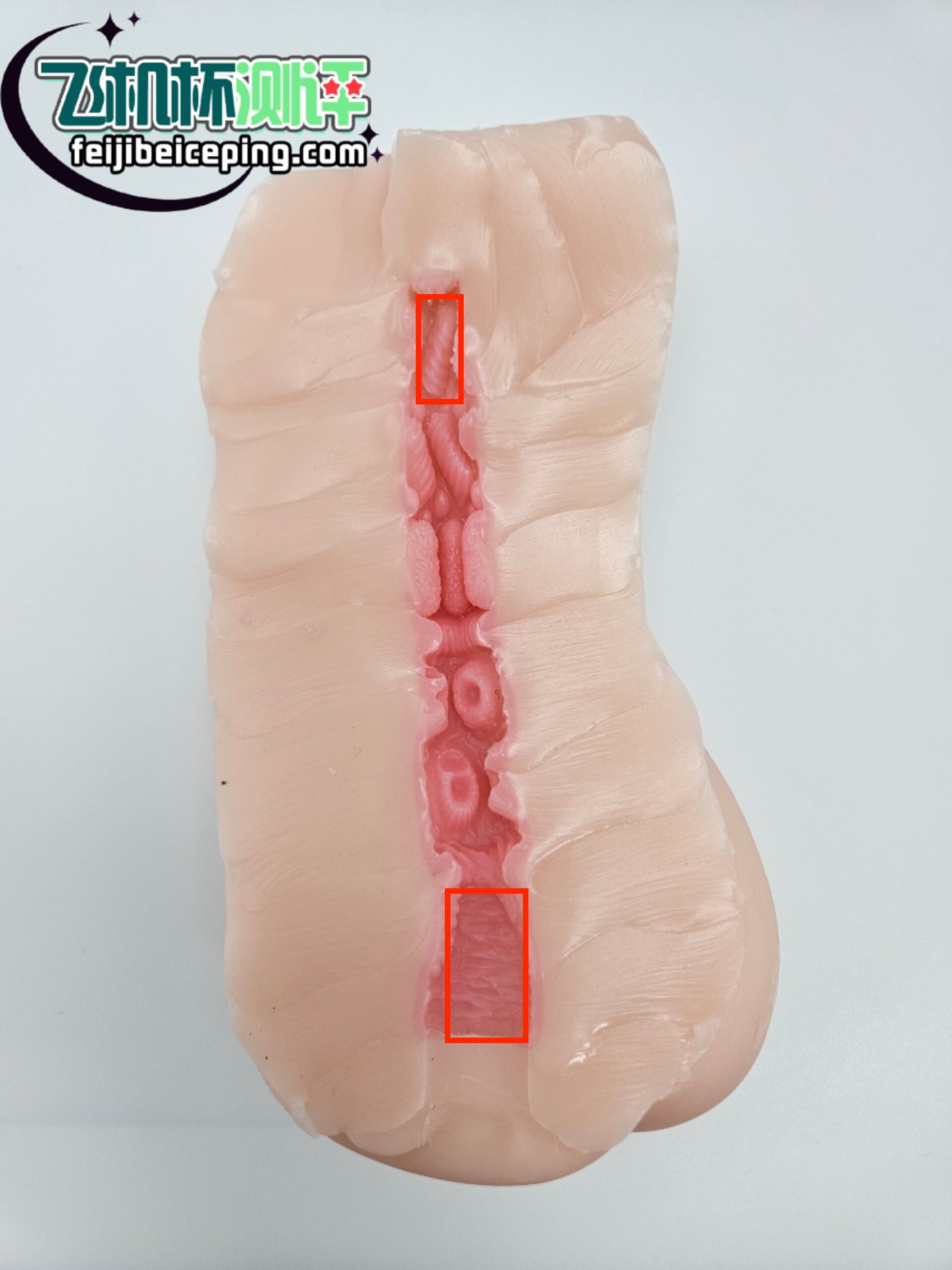 飞机杯测评:唤起柔情猫娘一代