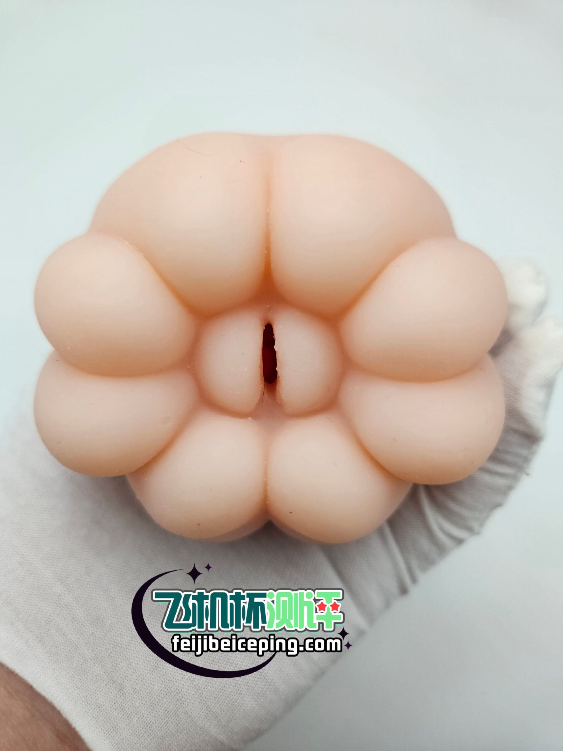 GOSE触手娘飞机杯测评