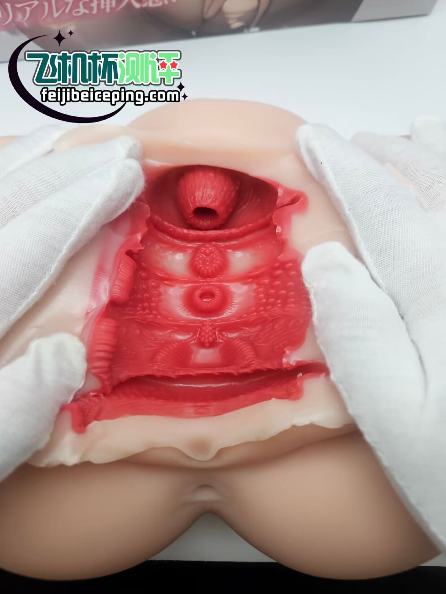 RQS宫庭妄想飞机杯倒模测评