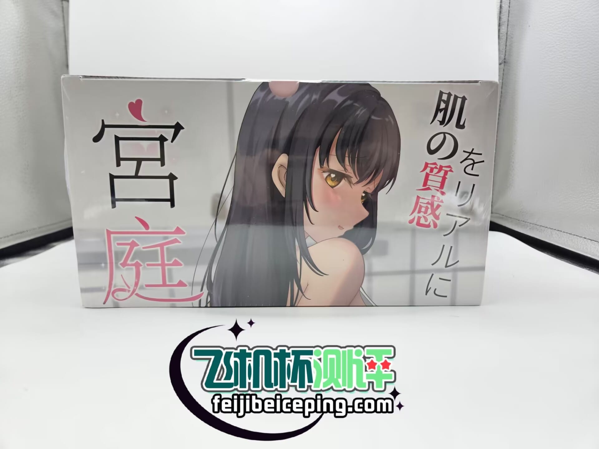 RQS宫庭妄想飞机杯倒模测评